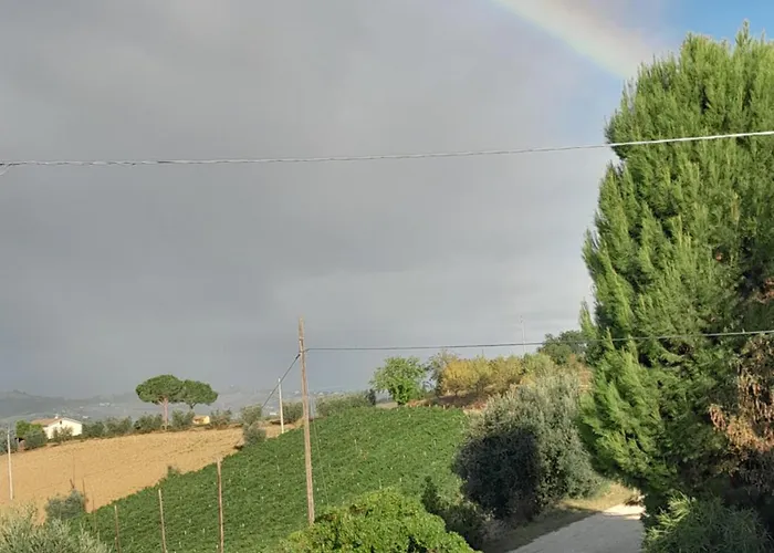 Alchemilla Bed and Breakfast Offida