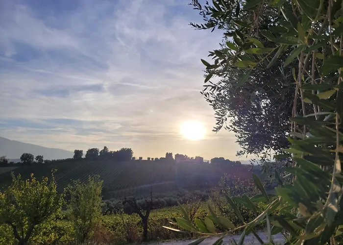 Bed and Breakfast Alchemilla