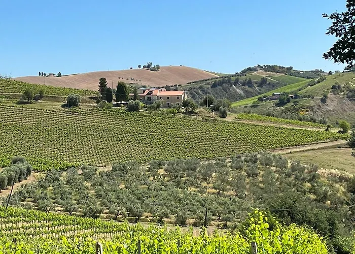 Bed and Breakfast Alchemilla *